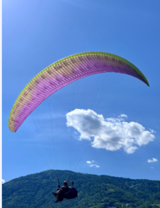 Zeno 1 MS